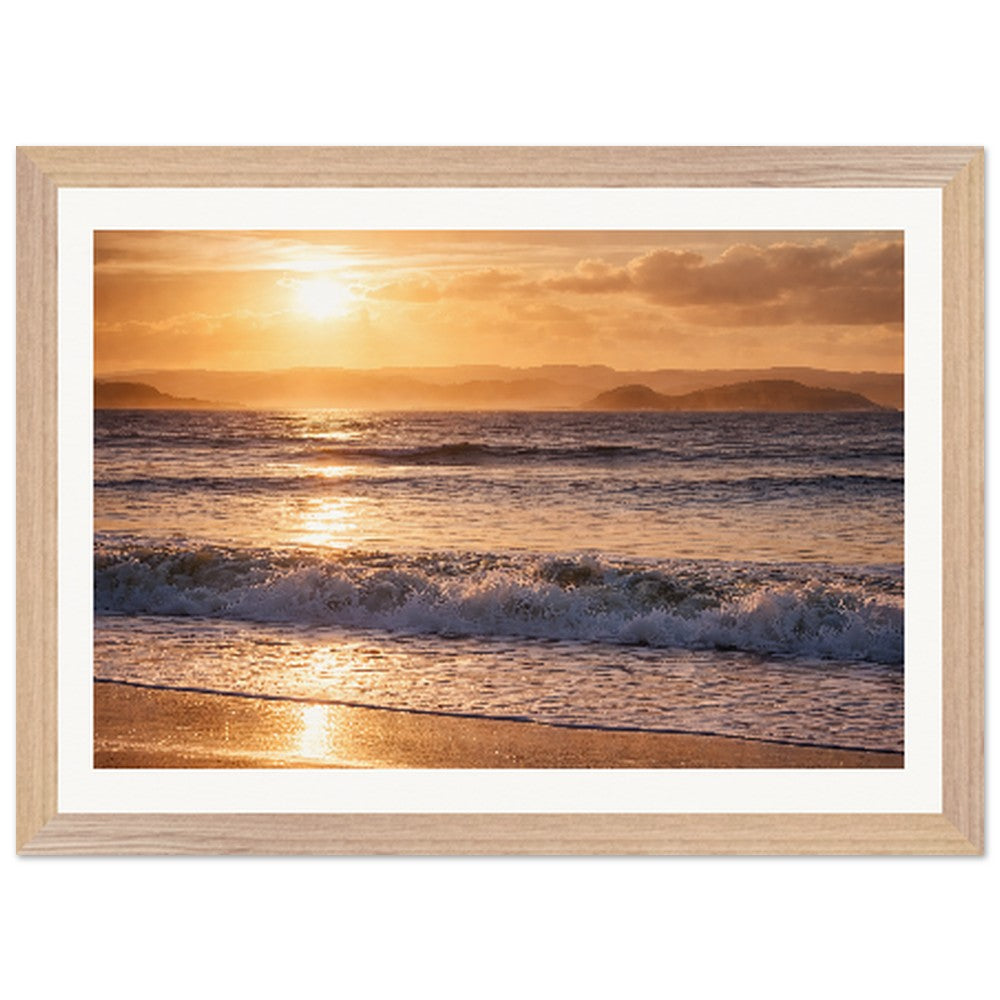 3b4fa8d8-3ea2-4e31-935c-e496f6dee063