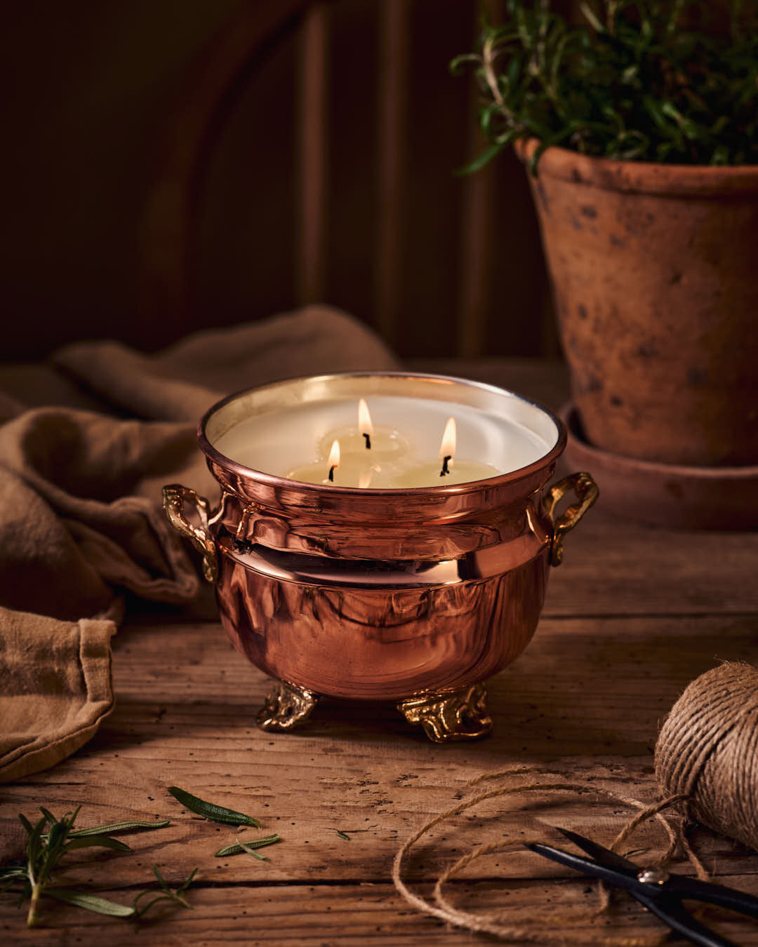 DC-Powered Vintage French Inspired Grapefruit Mint Jardinière Candle with decorative ceramic container and botanical design.