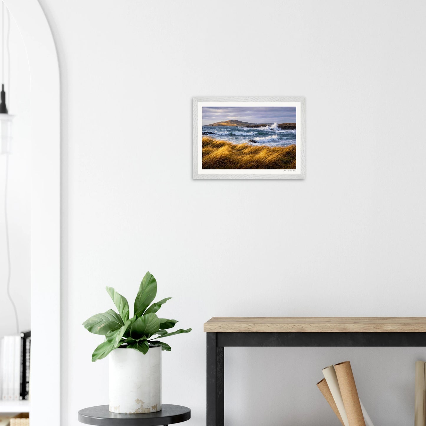 Framed artwork of a coastal scene above a plant on a white wall.