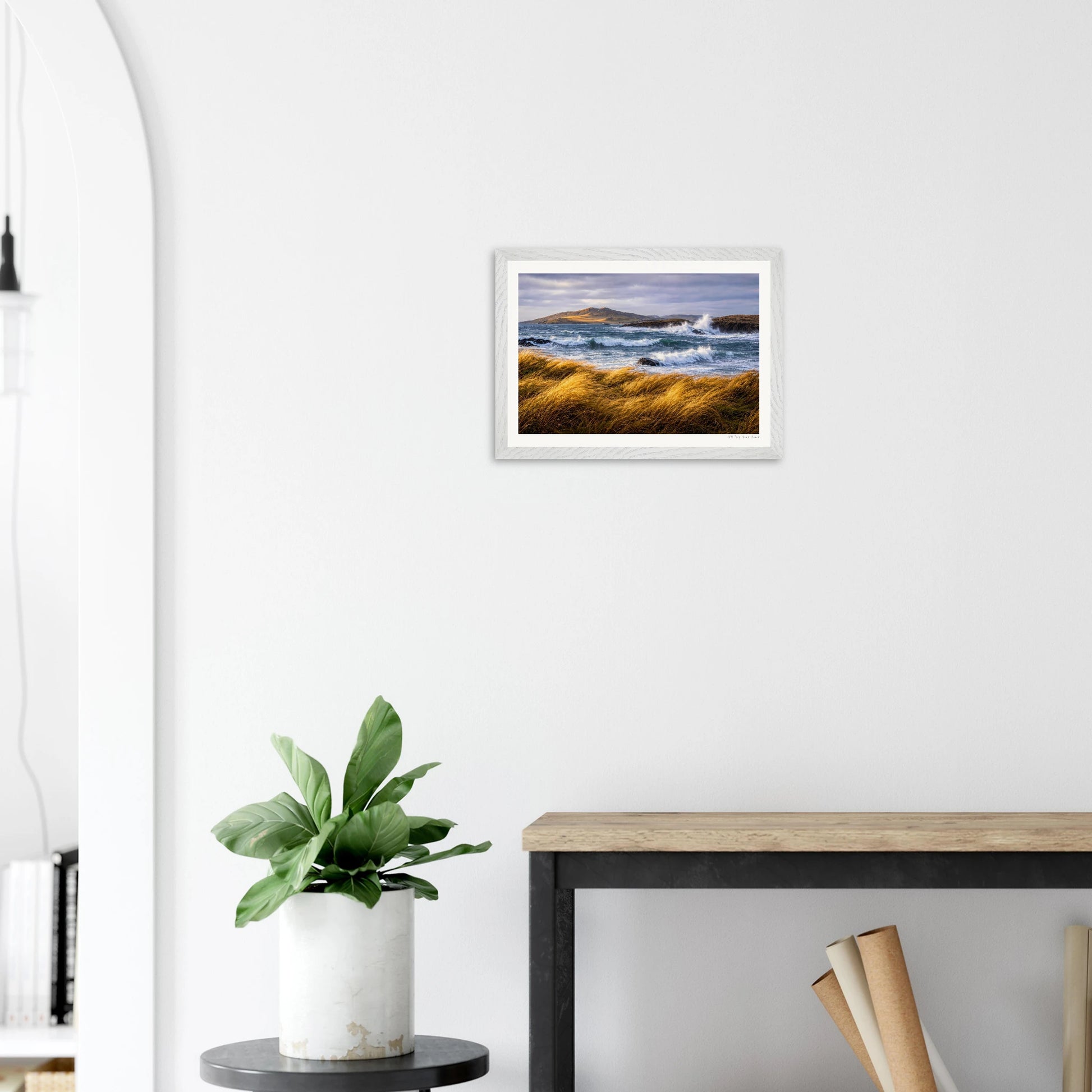Framed artwork of a coastal scene above a plant on a white wall.