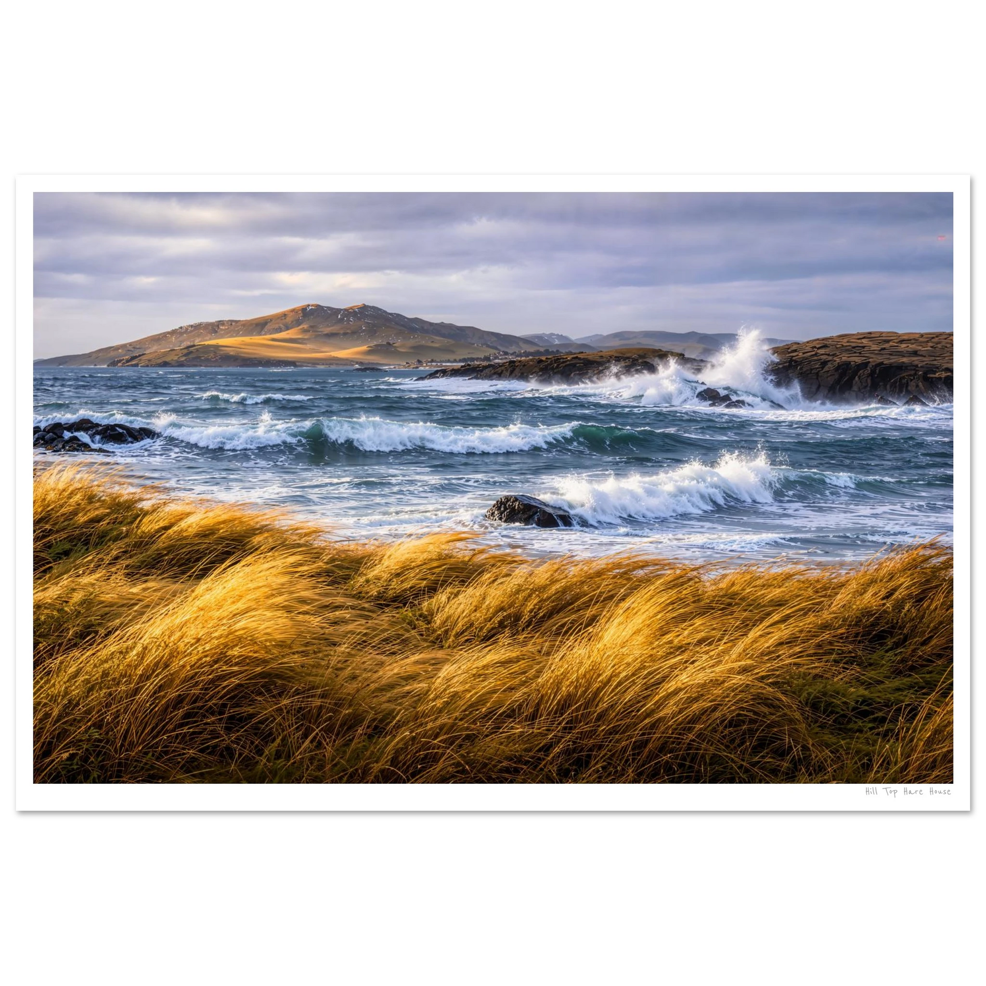 Scenic view of a coastal landscape with waves crashing against rocks and grass in the foreground.