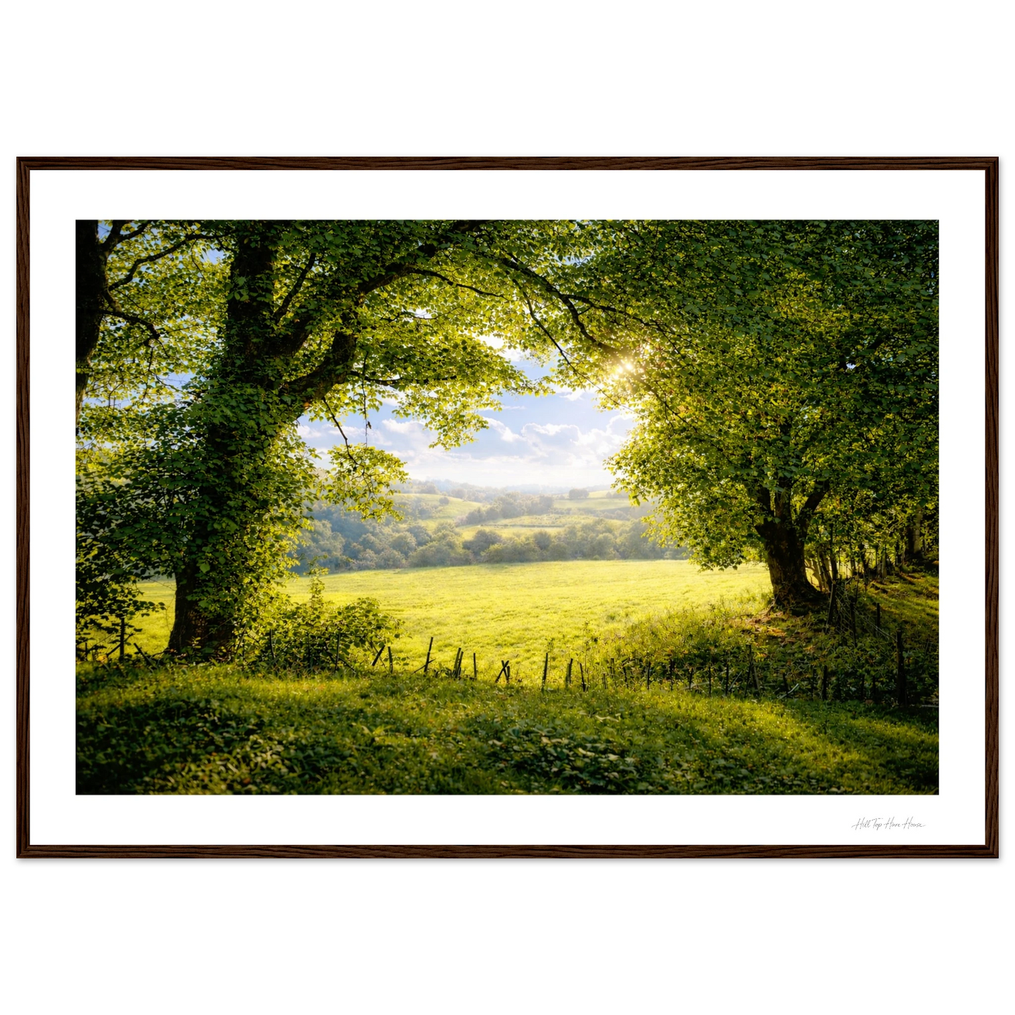 Framed photograph of a serene landscape with trees and a field.