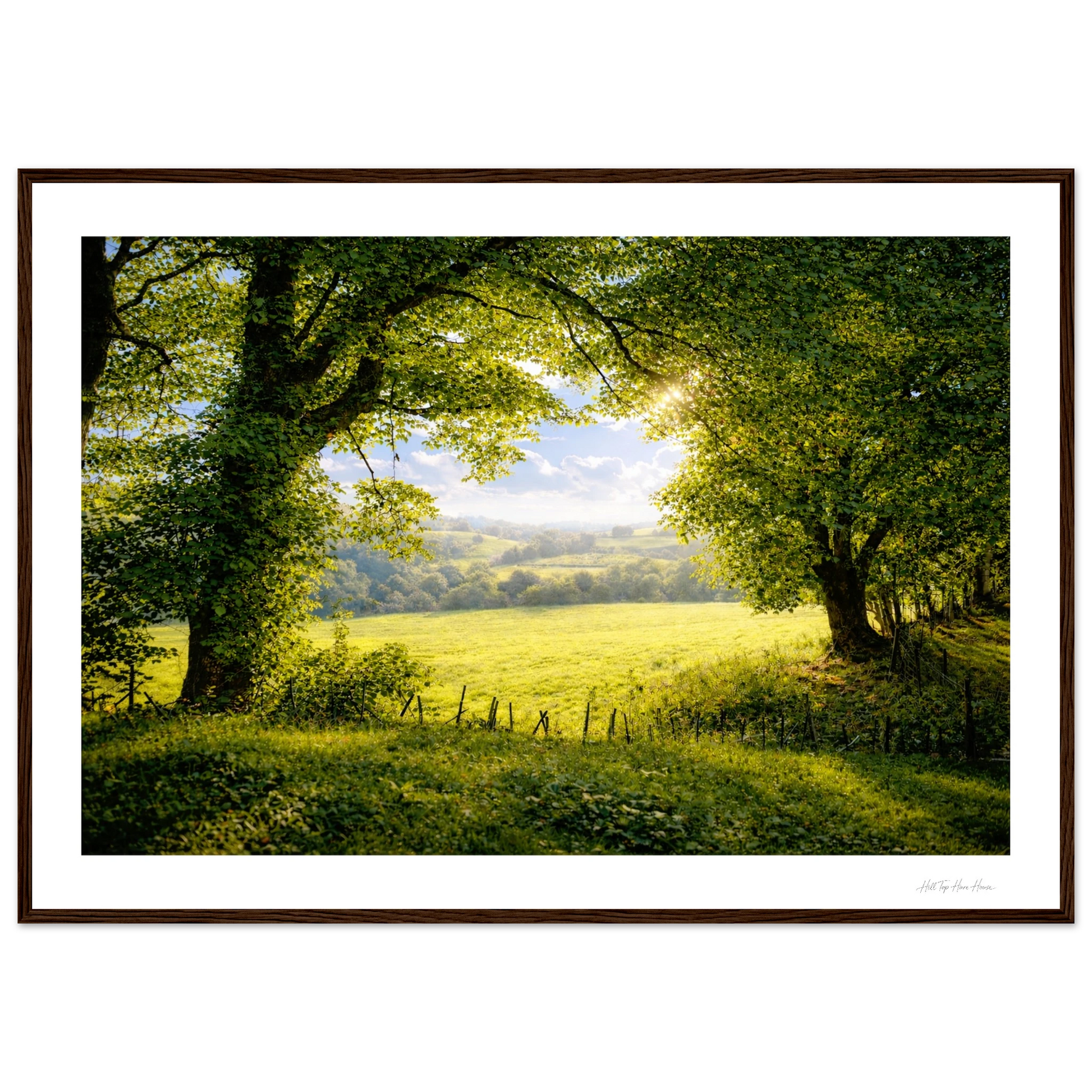 Framed photograph of a serene landscape with trees and a field.