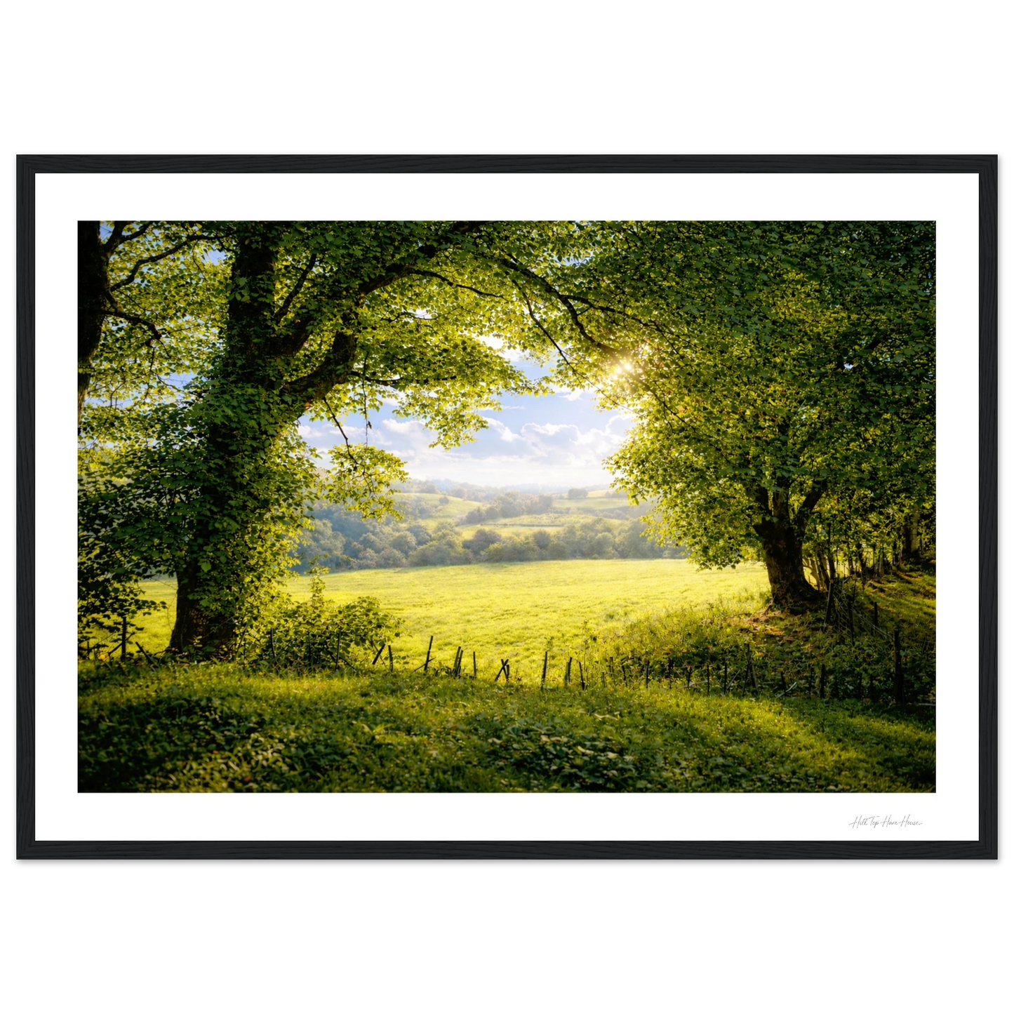 Lush green field with trees and a clear sky, framed in black.
