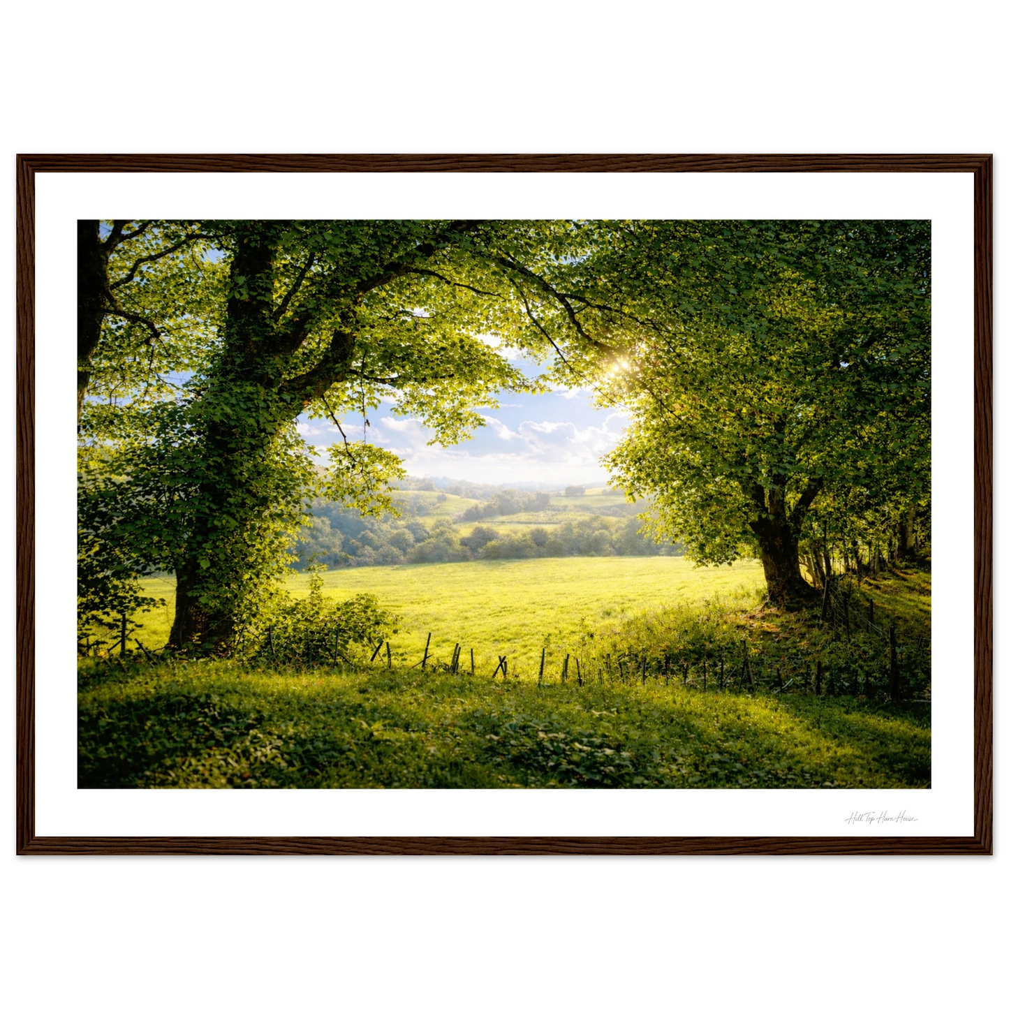Framed photograph of a serene landscape with trees and a field.