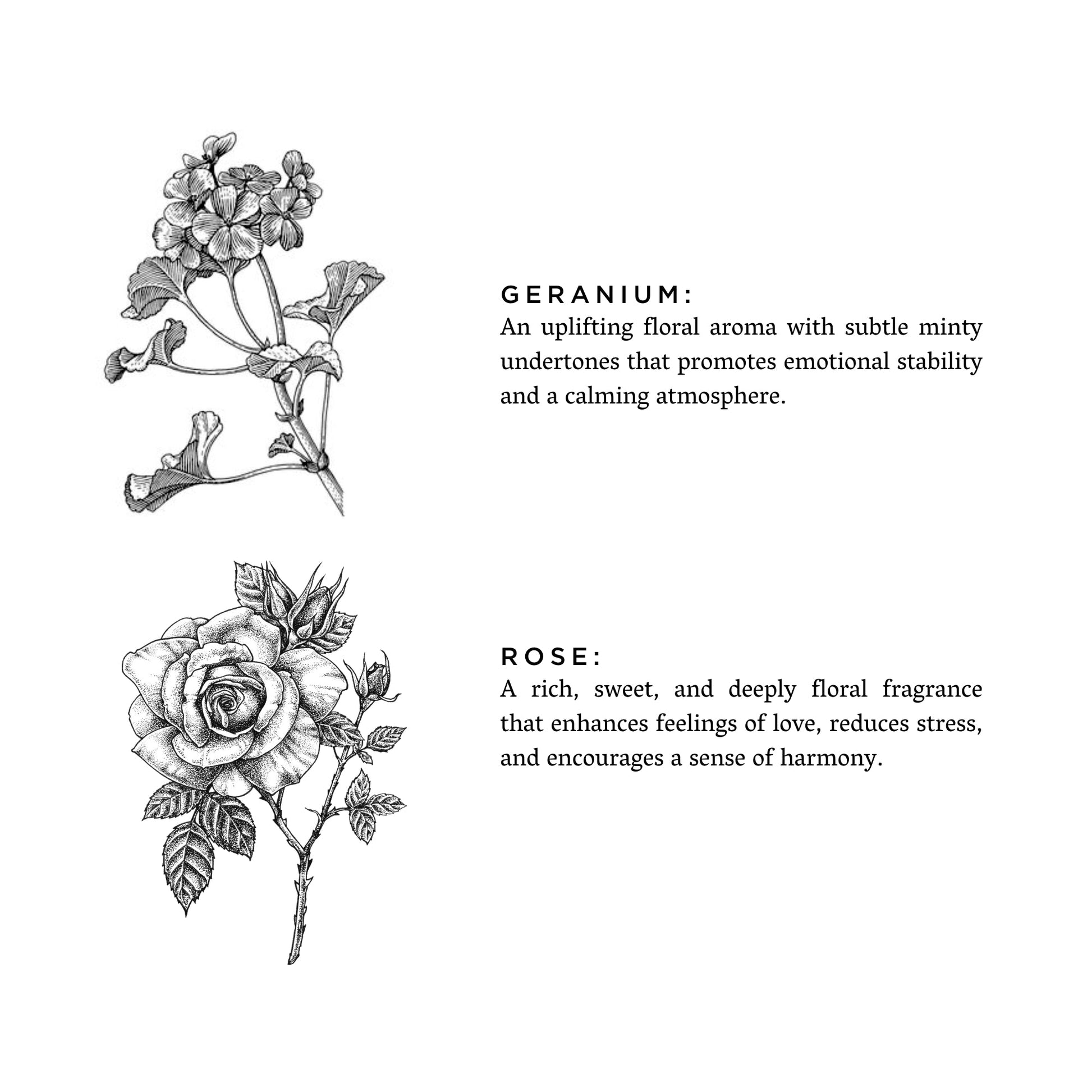 DC-Slow North Geranium and Rose Signature Candle featuring a glass jar with a floral-inspired design and a lit wick.