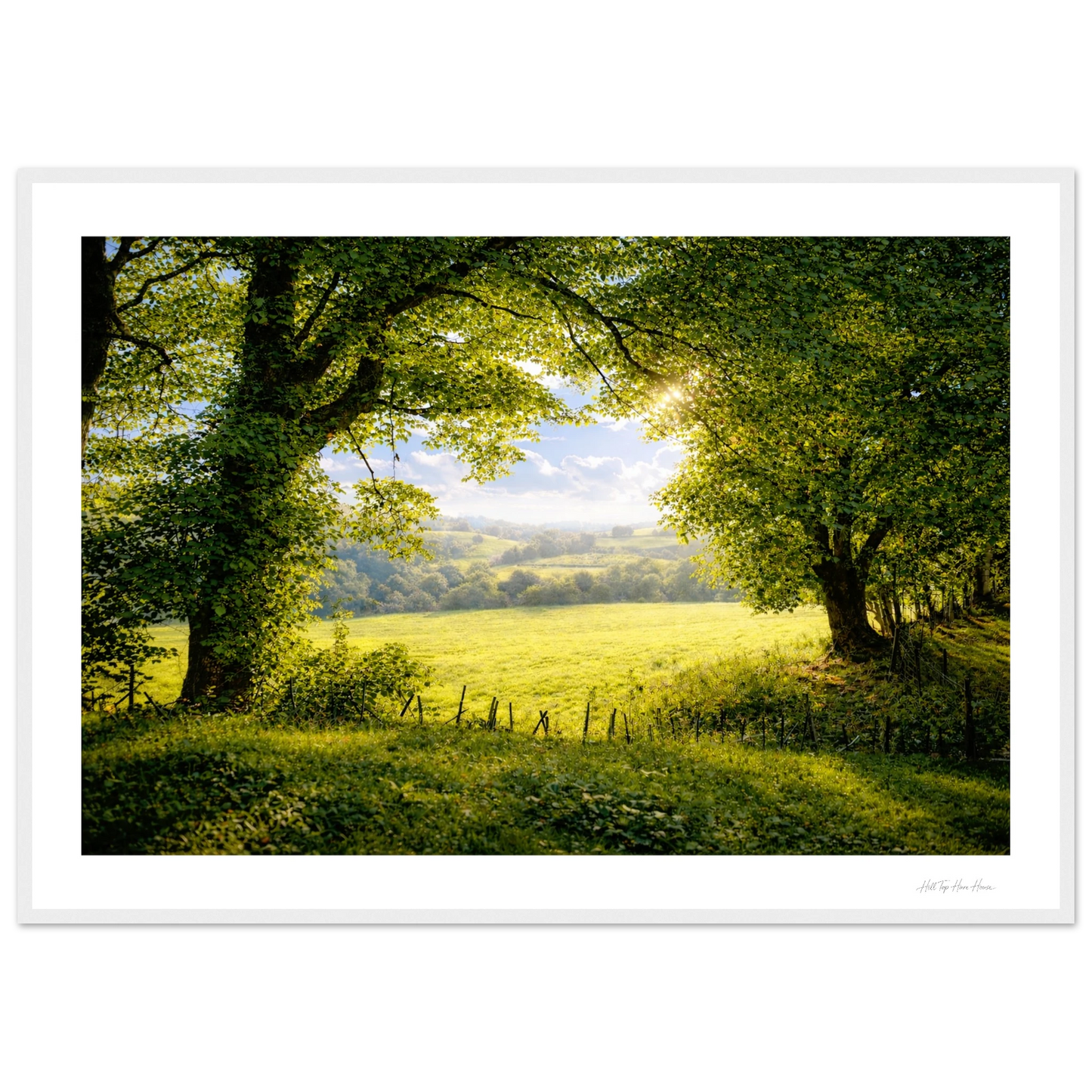 Lush green field with trees and a clear sky