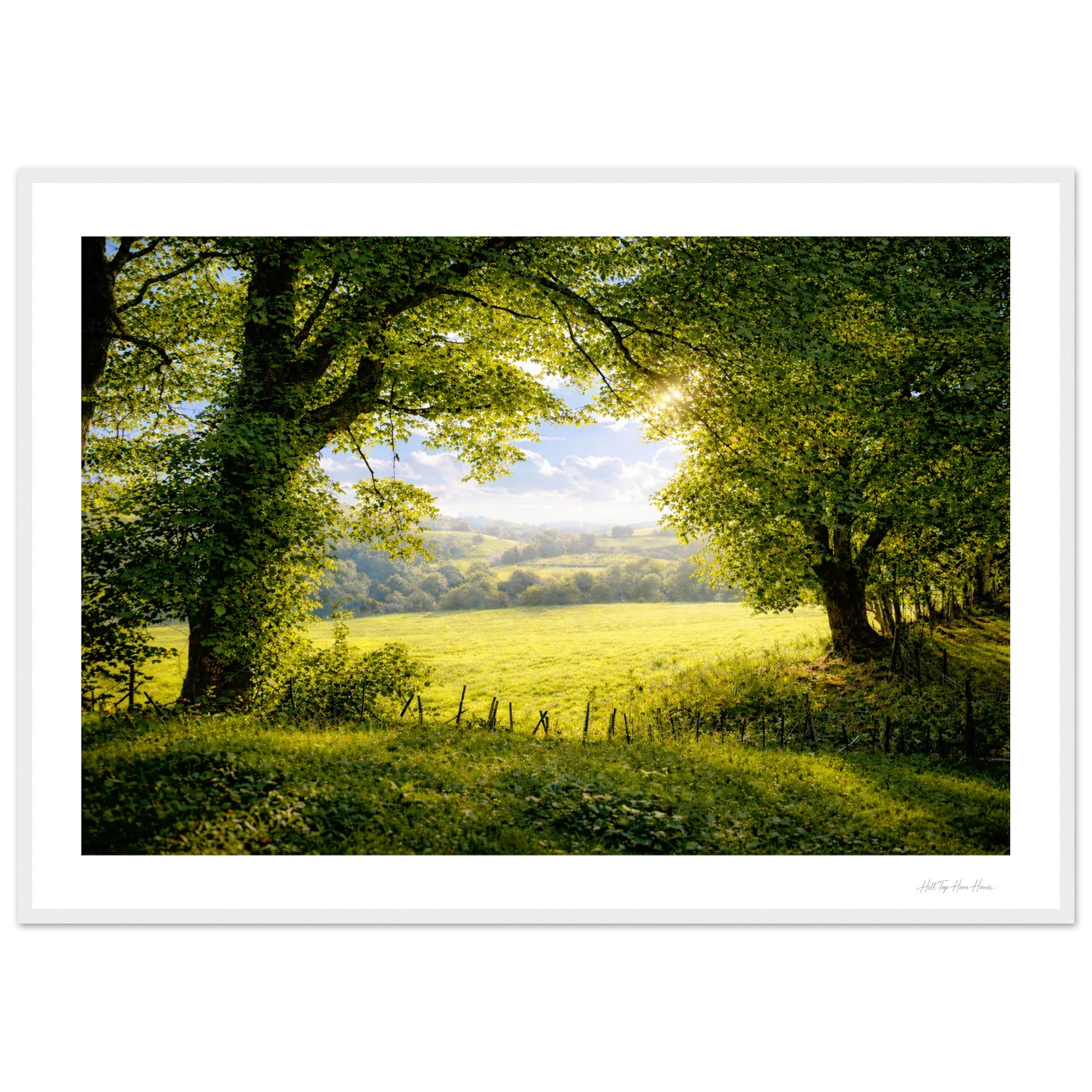 Lush green field with trees and a clear sky