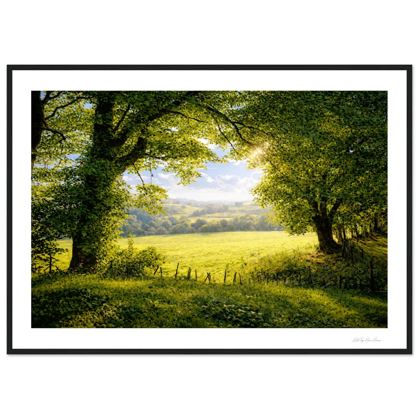 Framed photograph of a serene landscape with trees and a green lush field 