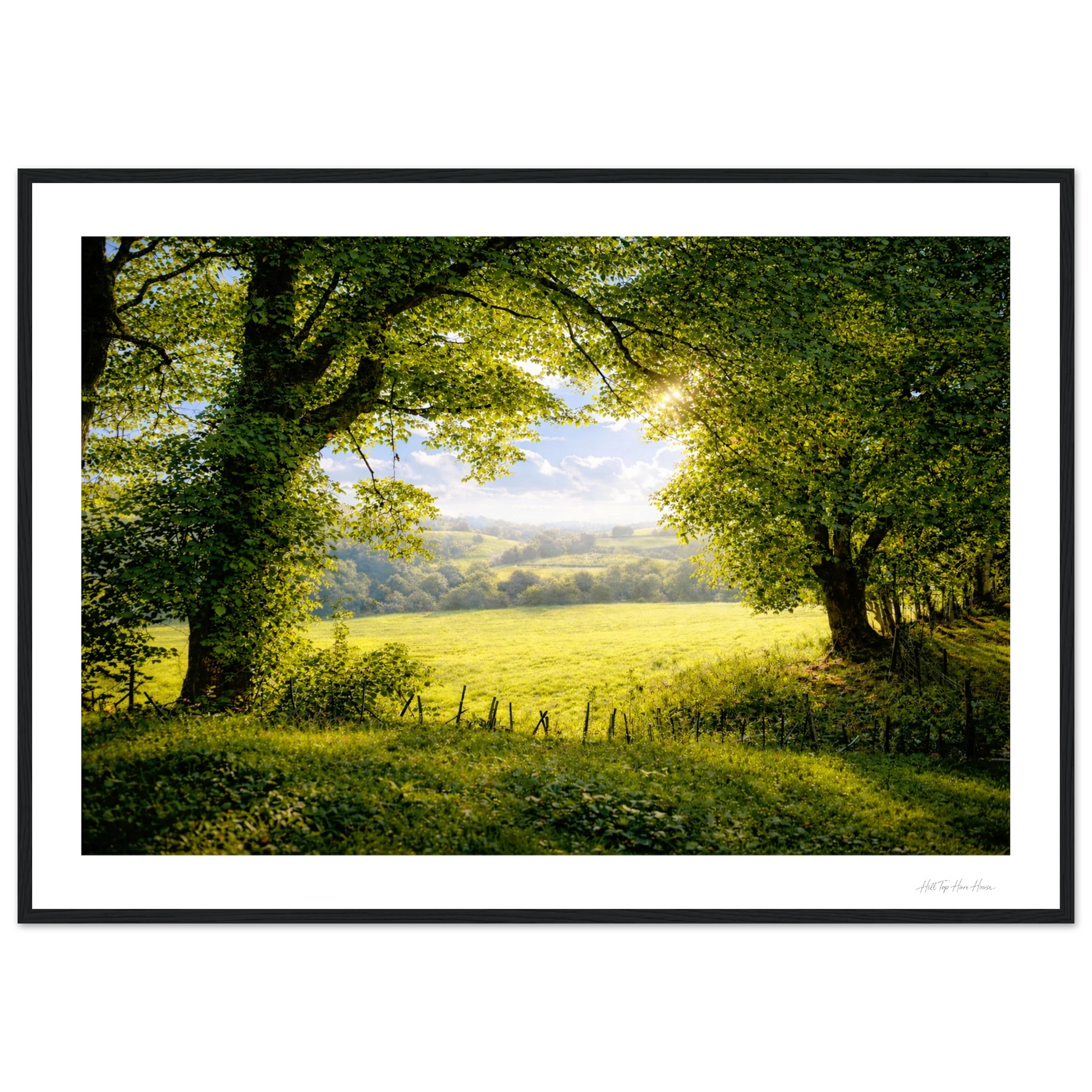 Framed photograph of a serene landscape with trees and a green lush field 