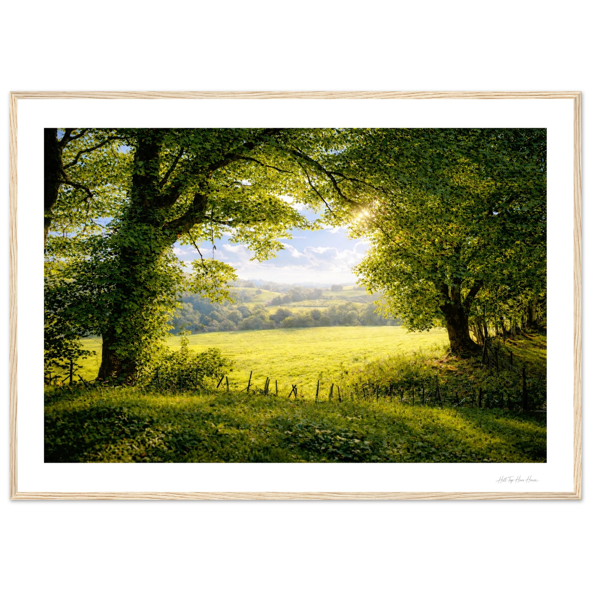 Framed photograph of a serene landscape with trees and a field.
