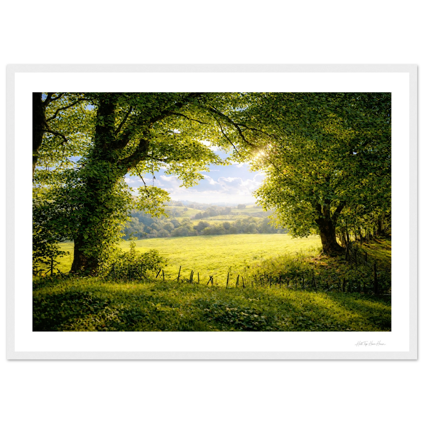 Lush green field with trees and a clear sky