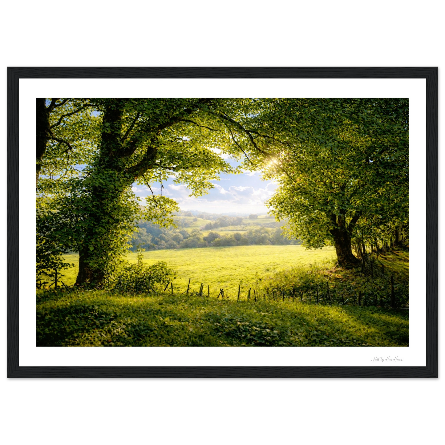 Framed photograph of a serene landscape with trees and a field.