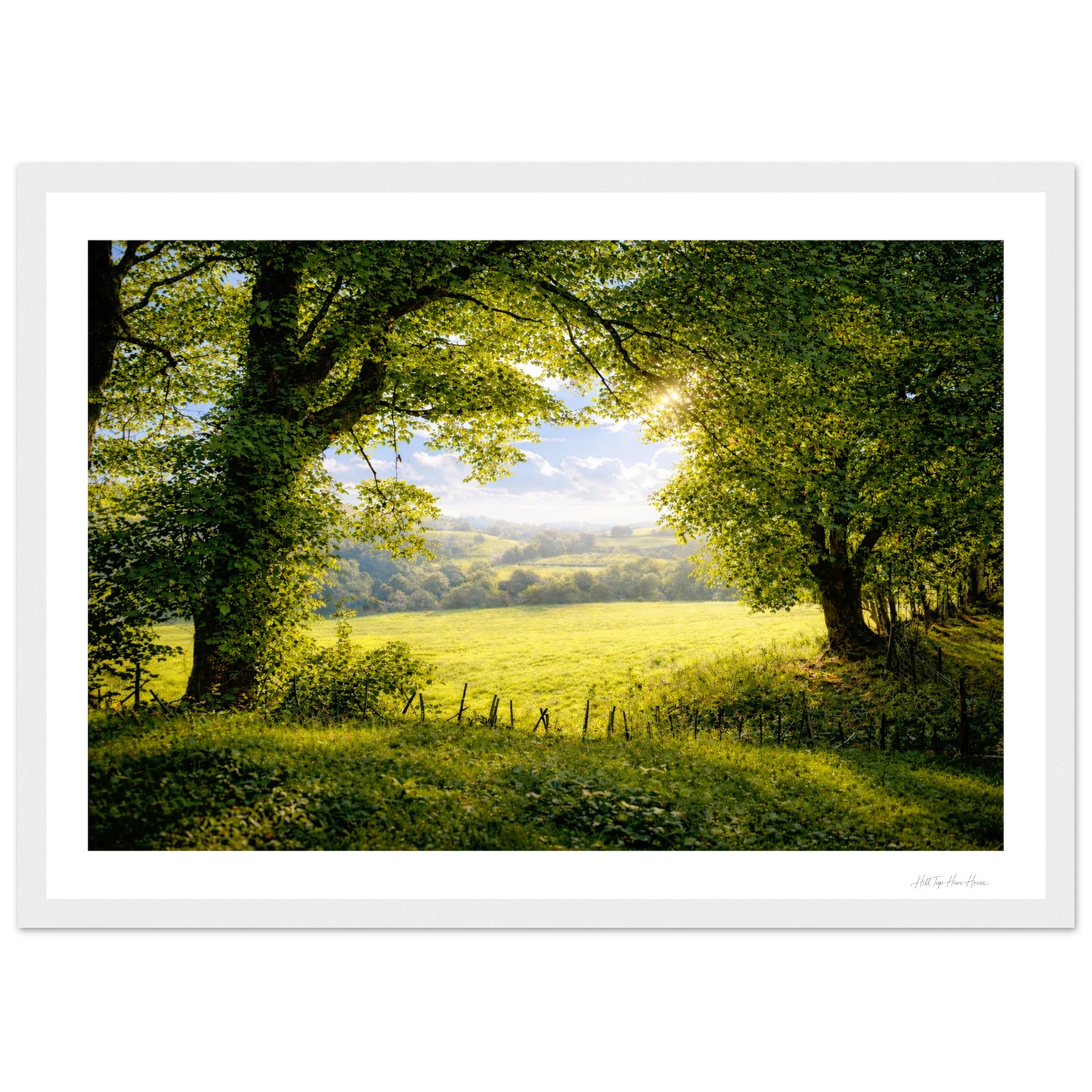 Lush green field with trees and a clear sky