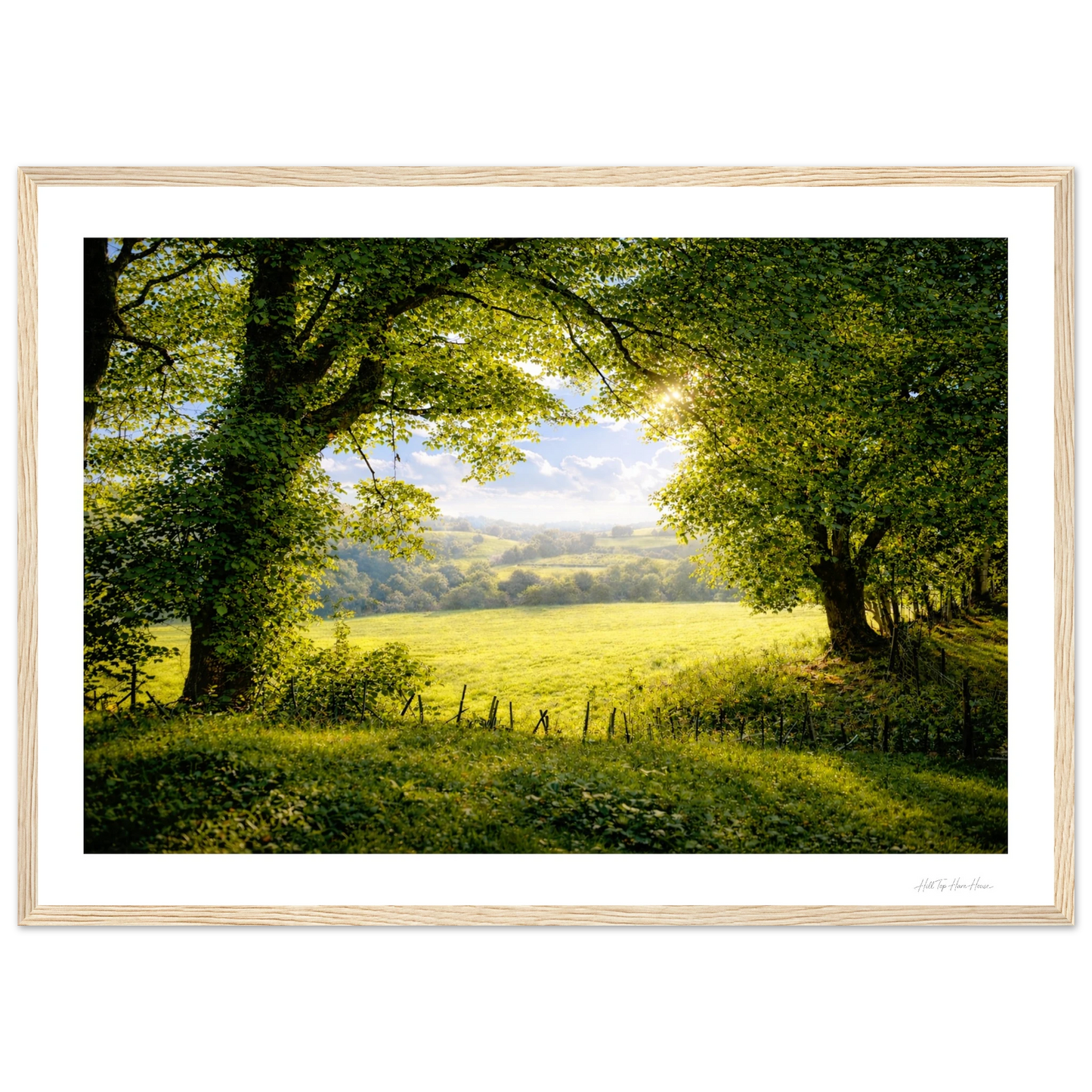 Framed photograph of a serene landscape with trees and a field.